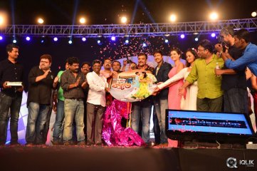 Loukyam Movie Audio Launch